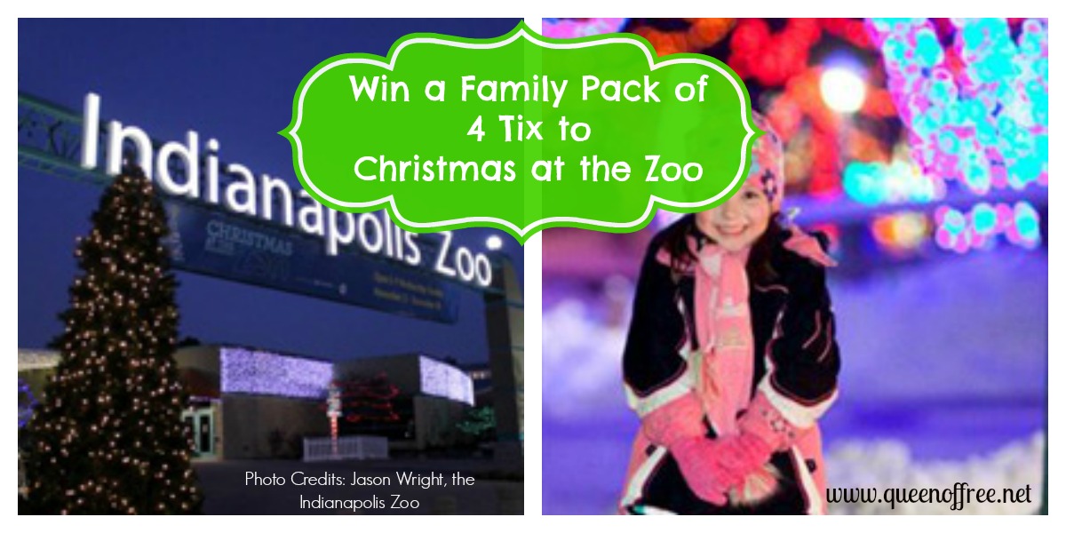 Royal Give Away: Family Pack of Four Tickets to Christmas at the Zoo - Queen of Free
