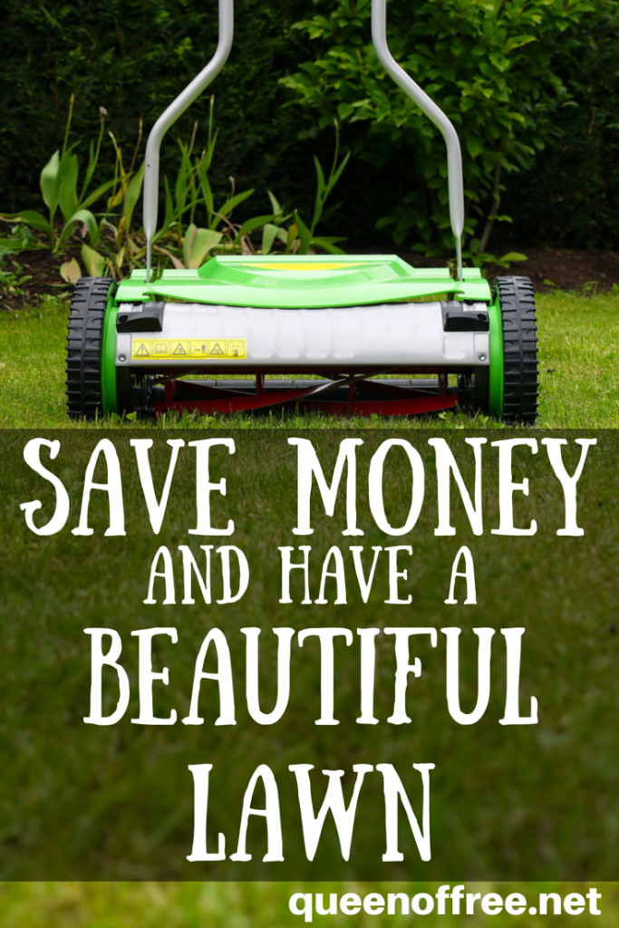 Yard work does not have to break the bank. Check out these unusual tips to save money and still have a beautiful lawn.