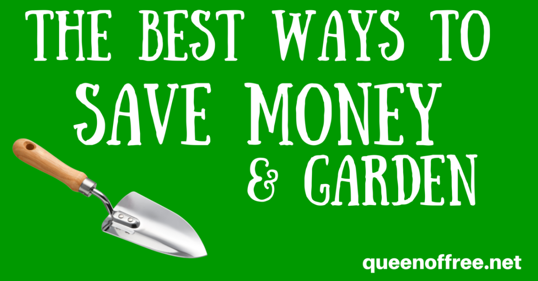 Have fun, feed your family, and love your backyard with these simple tips to save money gardening!