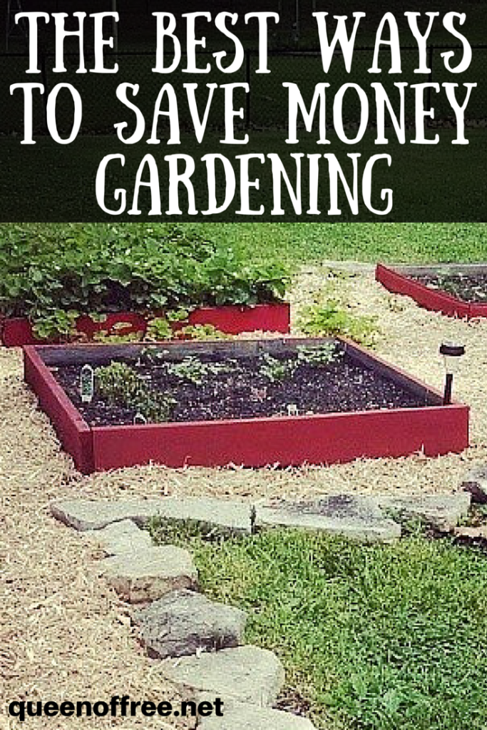 Have fun, feed your family, and love your backyard with these simple tips to save money gardening!
