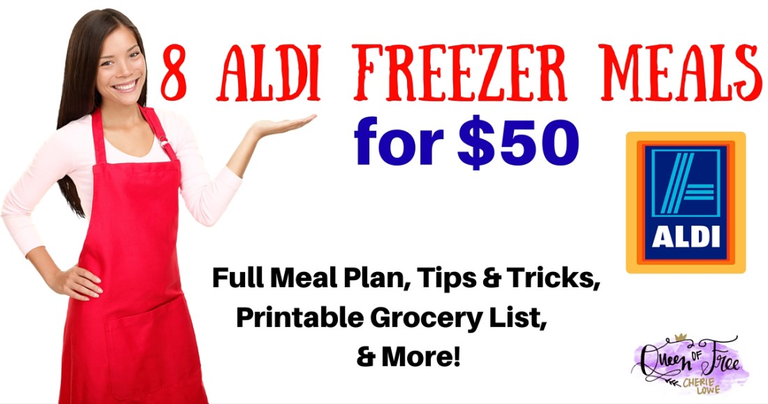 I can't believe you can make 8 ALDI Freezer meals for under $50! This post has an entire meal plan complete with a free printable shopping list.