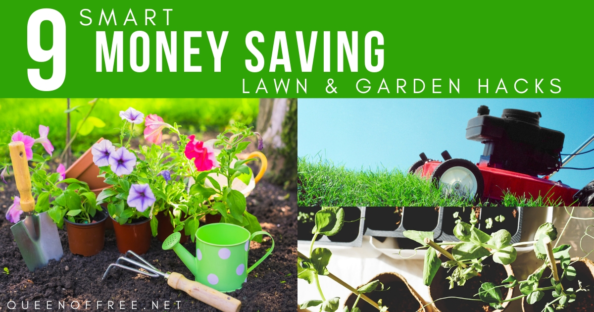 Spring, summer, or fall - these smart money saving lawn and garden hacks will help your yard be everyone's envy without all the extra!