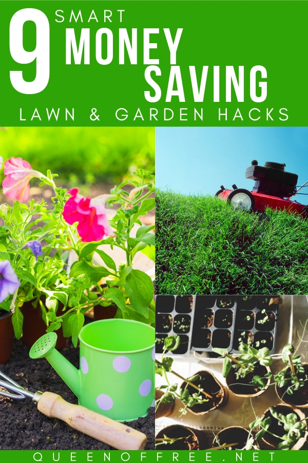 Spring, summer, or fall - these smart money saving lawn and garden hacks will help your yard be everyone's envy without all the extra!