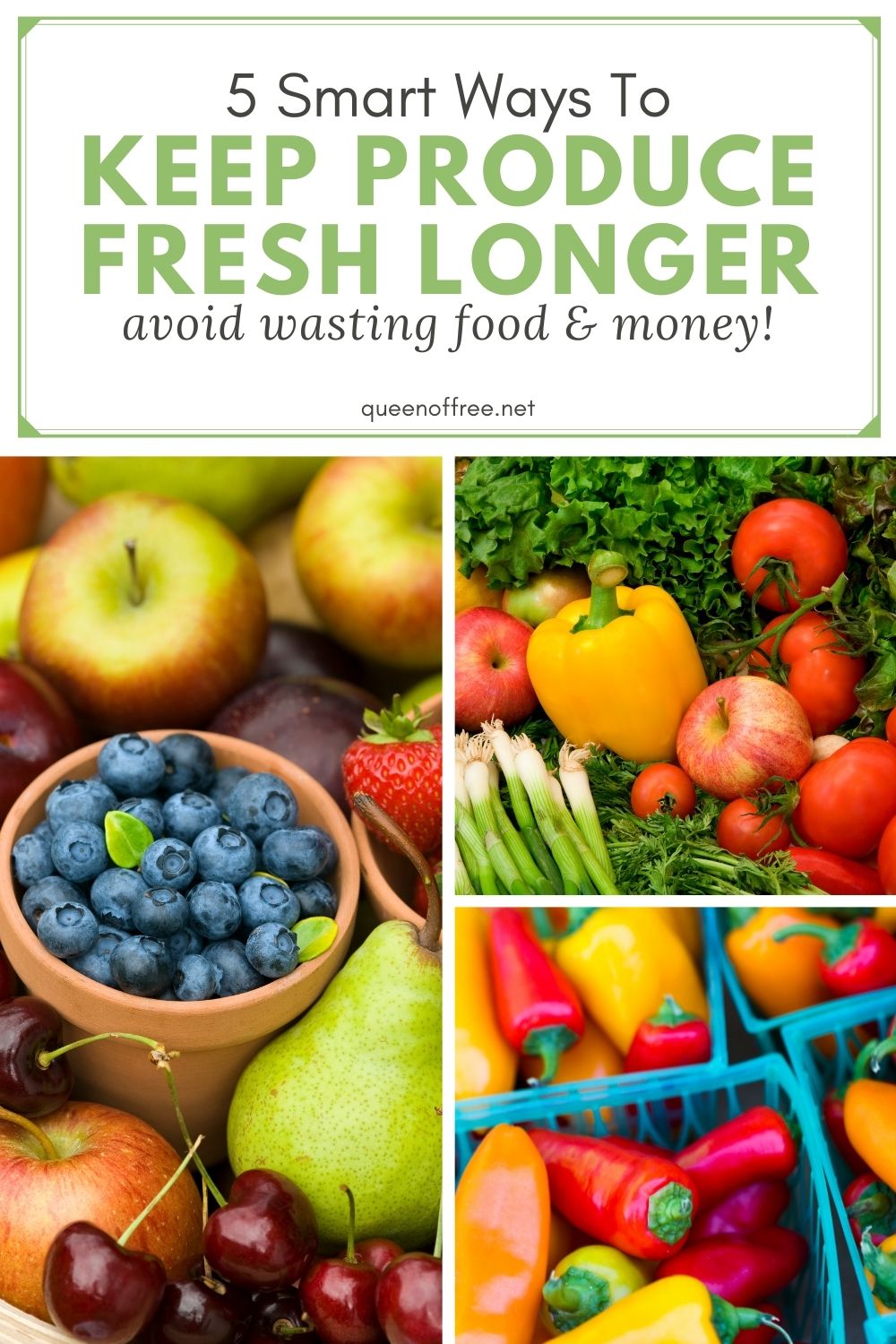 Taking a few easy and minor precautions can save both your food and your pennies. Read how to keep fruits and veggies fresh for longer.