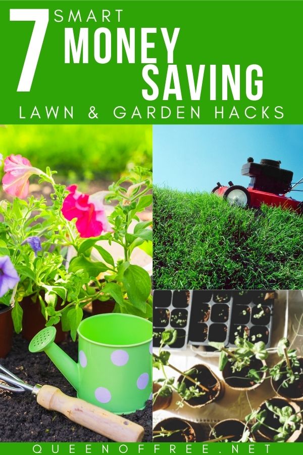 Keep your yard green and your bank account green, too with these 7 Money Saving Lawn and Garden Hacks this summer.
