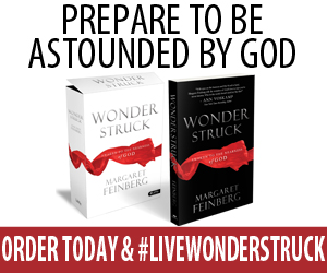 Royal Review: Wonderstruck Plus FREE PDF of Wonderstruck Scriptures