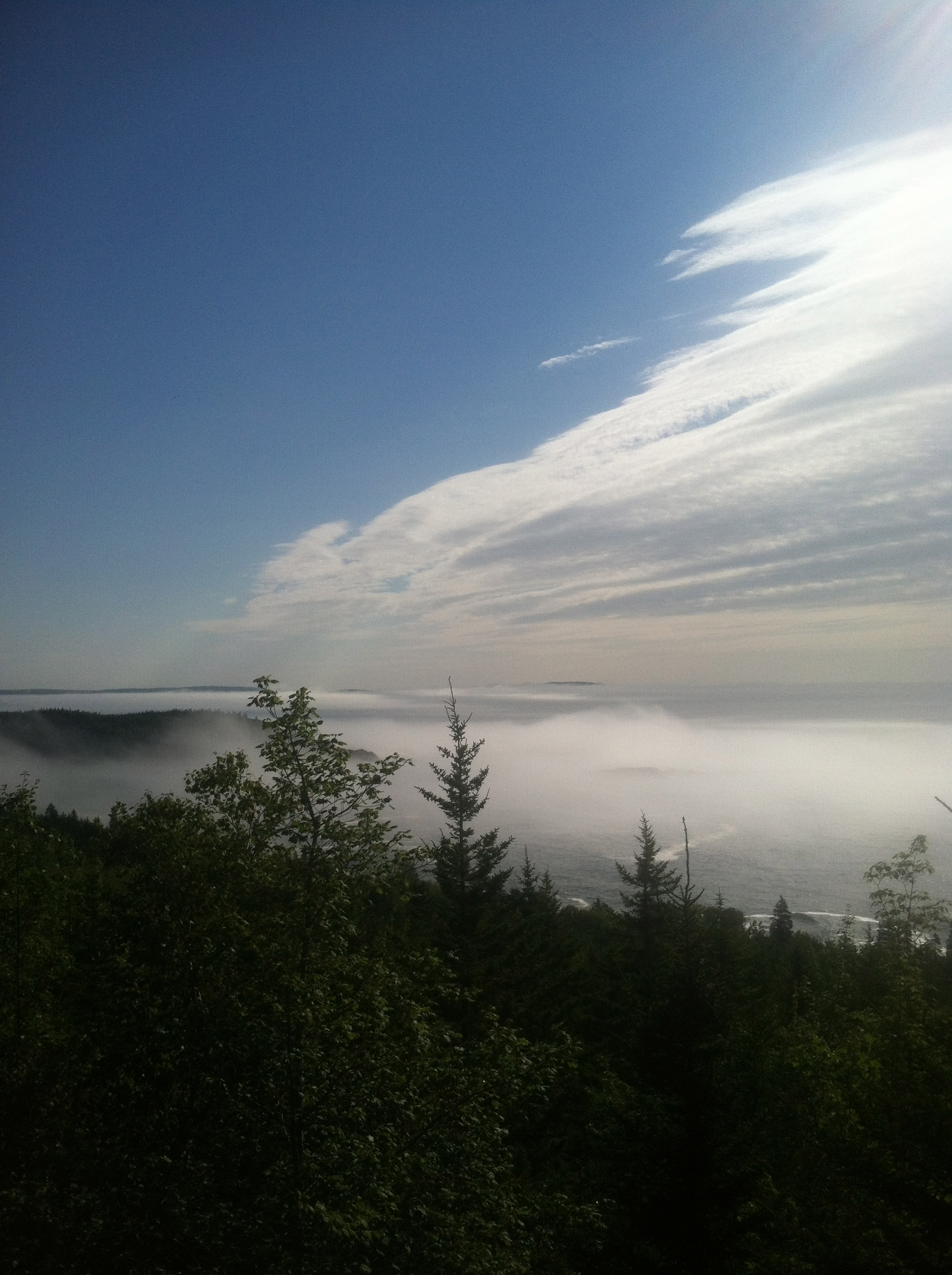 Foggy Coastline