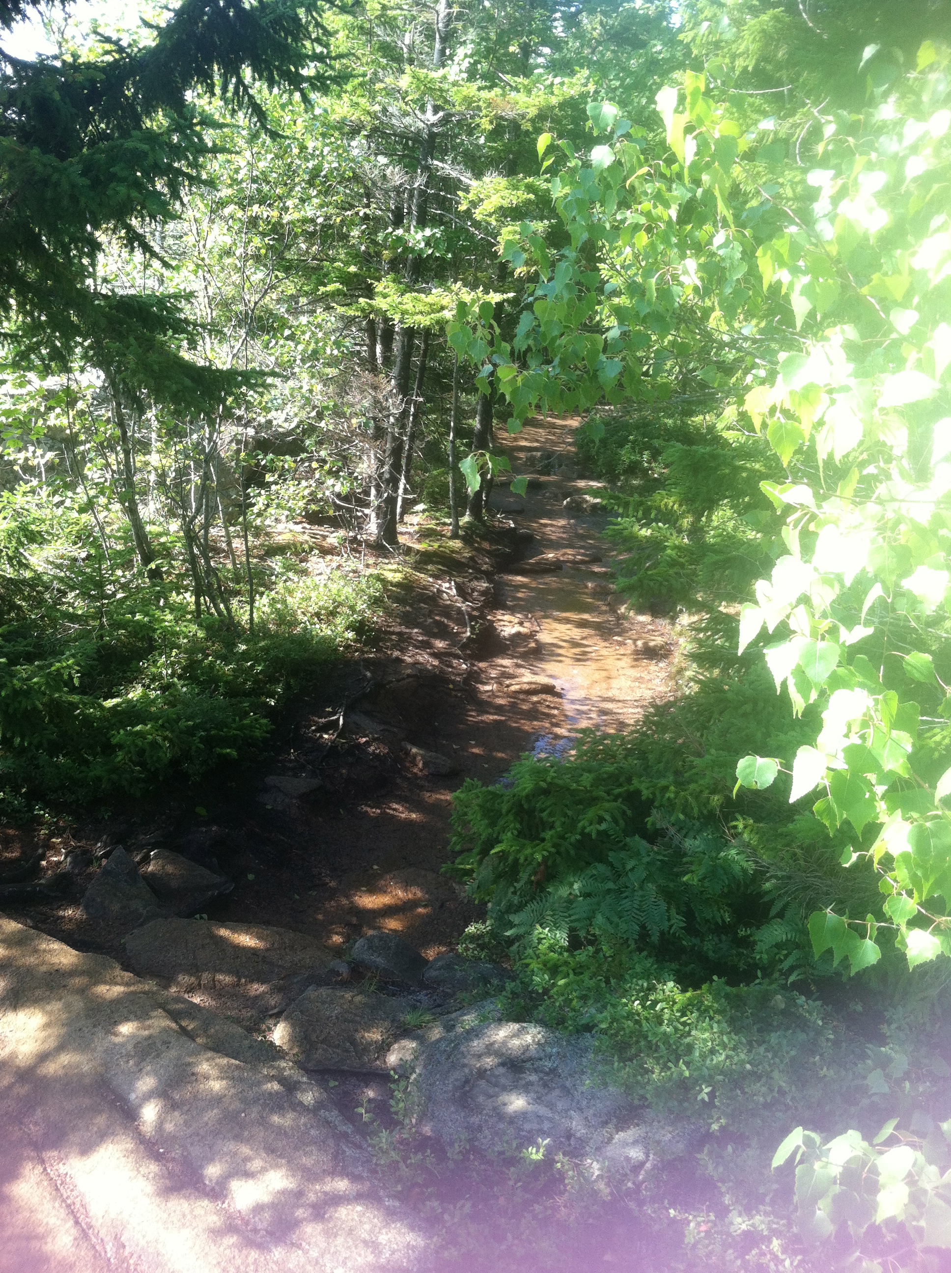 Lovely little trail