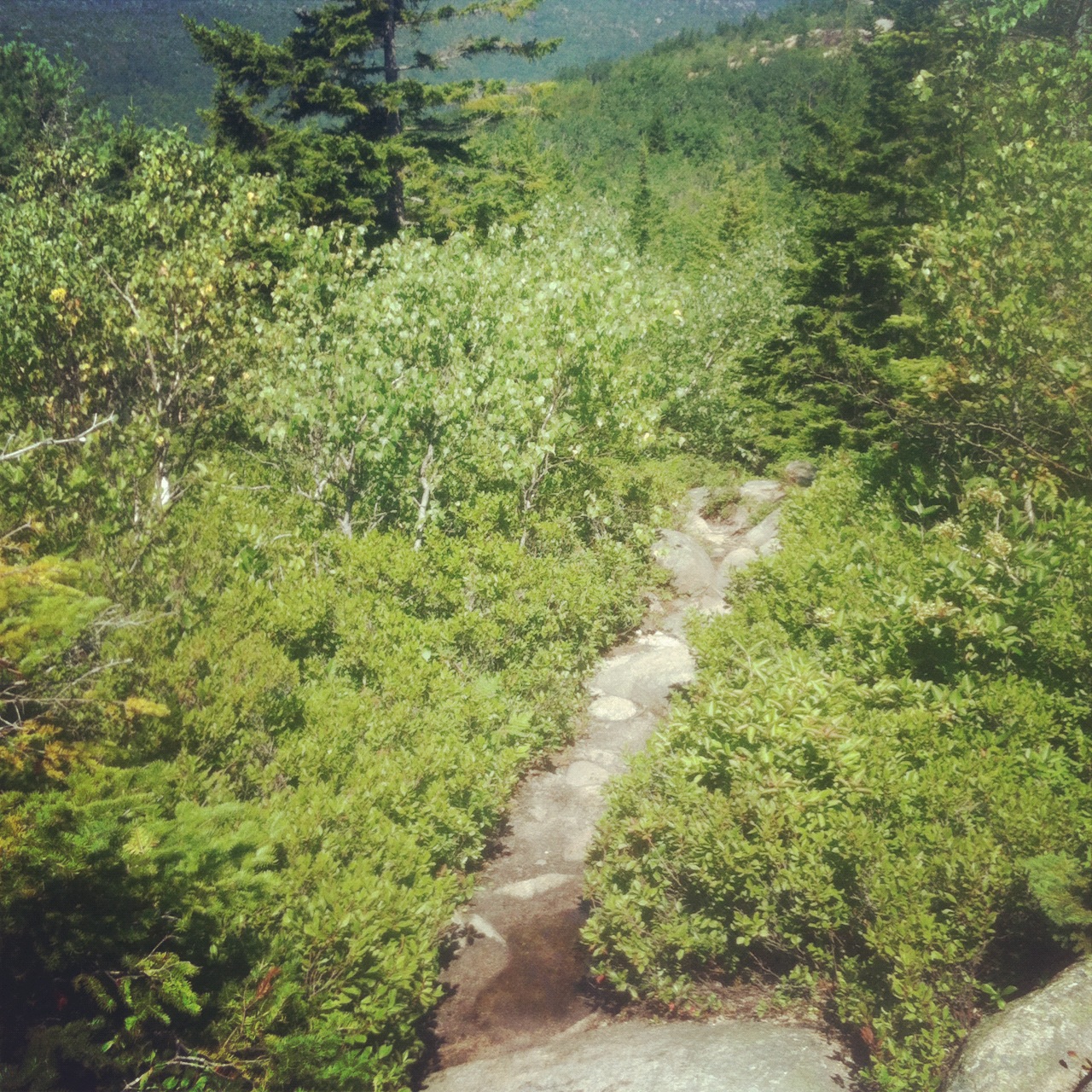 rocky trail