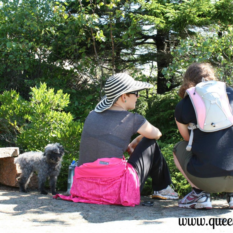 Royal Adventures: The Queen in Maine Part 2