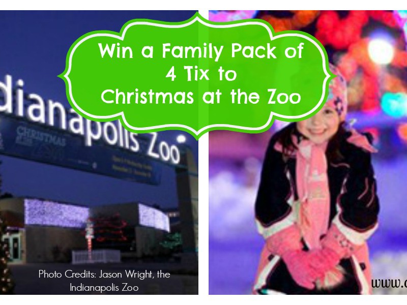 Royal Give Away: Family Pack of Four Tickets to Christmas at the Zoo