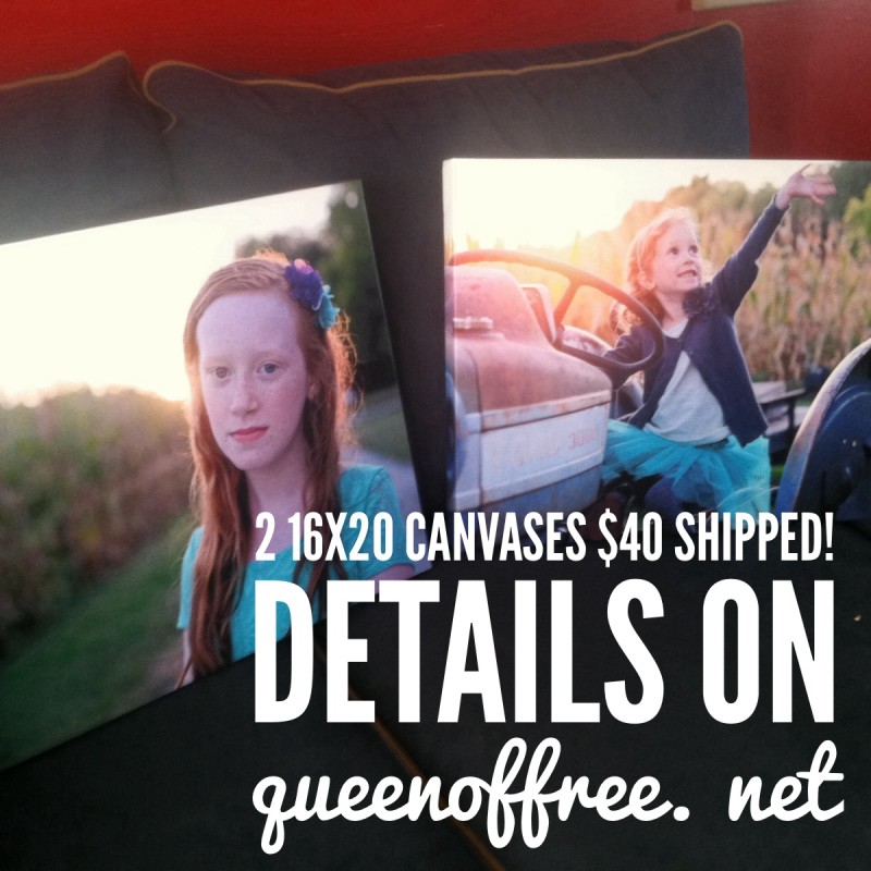 Eversave: 2 16×20 Canvases $40 SHIPPED