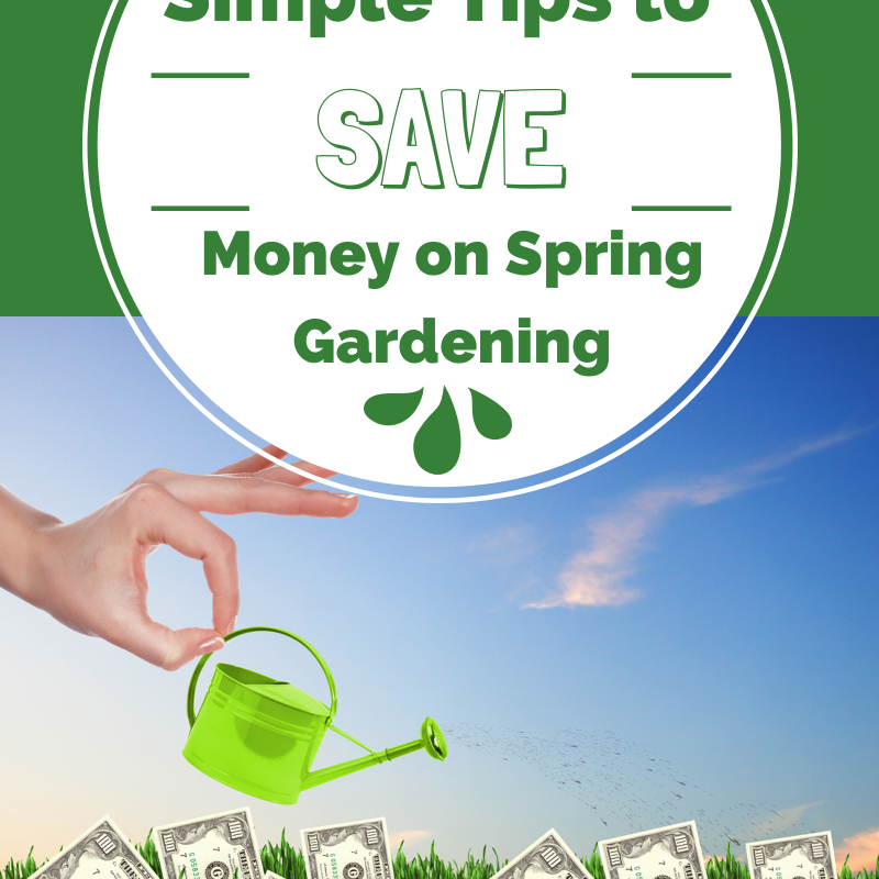 Simple Tips to Save Money on Spring Gardening