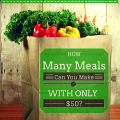 If you had only $50 to prepare meals, how many could you make? Follow along with this challenge for meal plan ideas, frugal tips, recipes, and more!