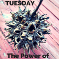 You can't do everything! Budget Tip Tuesday reminds you to focus in one thing to change your finances forever.
