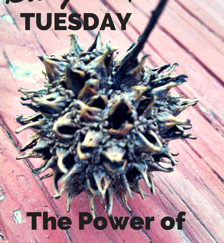 Budget Tip Tuesday: The Power of Just One Thing