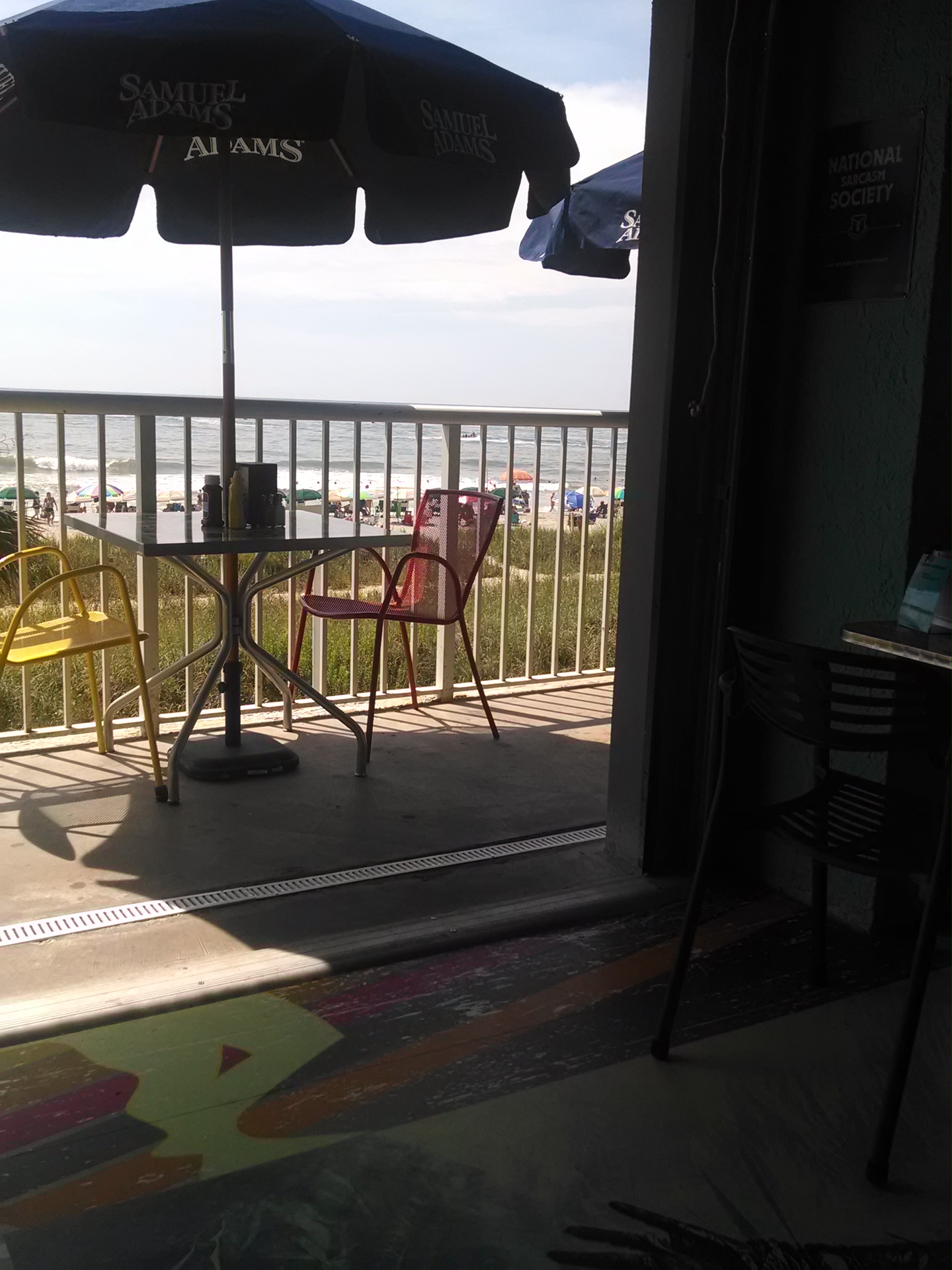 View from the Loco Gecko