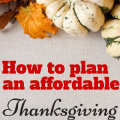 Have an affordable thanksgiving dinner that you can be truly grateful for with these fantastic budget tips.