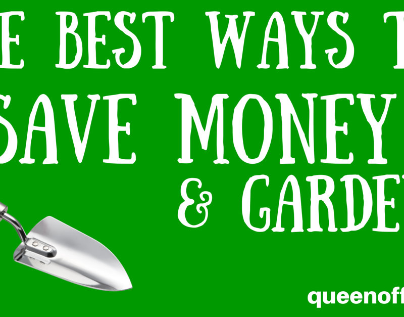 The Best Ways to Save Money Gardening