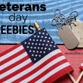 Attention veterans or active duty military! Check out all of these great Veterans Day 2017 freebies, discounts, and events.