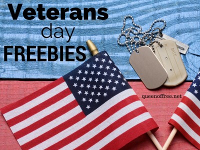 Attention veterans or active duty military! Check out all of these great Veterans Day 2017 freebies, discounts, and events.
