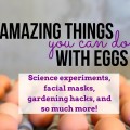 Don't just hide or scramble your eggs. Check out these 7 Amazing and Creative Things You Can Do with Eggs! I bet you never would have thought of #5!