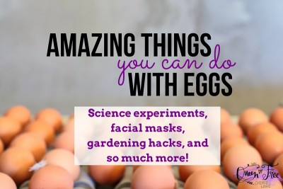 Don't just hide or scramble your eggs. Check out these 7 Amazing and Creative Things You Can Do with Eggs! I bet you never would have thought of #5!
