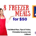 I can't believe you can make 8 ALDI Freezer meals for under $50! This post has an entire meal plan complete with a free printable shopping list.