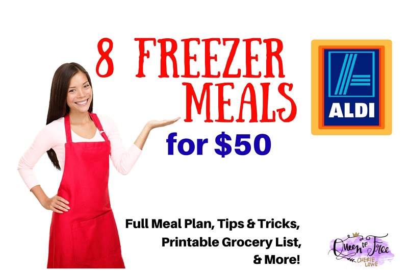 8 ALDI Freezer Meals for $50