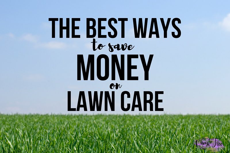 How to Save Money on Lawn Care