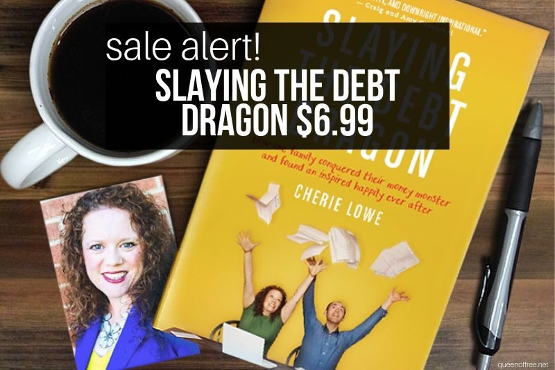 Slaying the Debt Dragon Sale