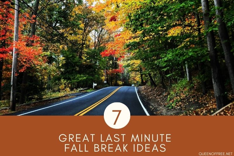 No plan? No money? No worries! These fun, last minute affordable fall break ideas are perfect for any budget!