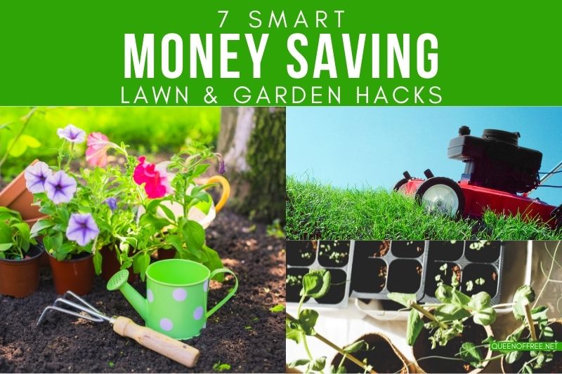 7 Money Saving Lawn & Garden Hacks