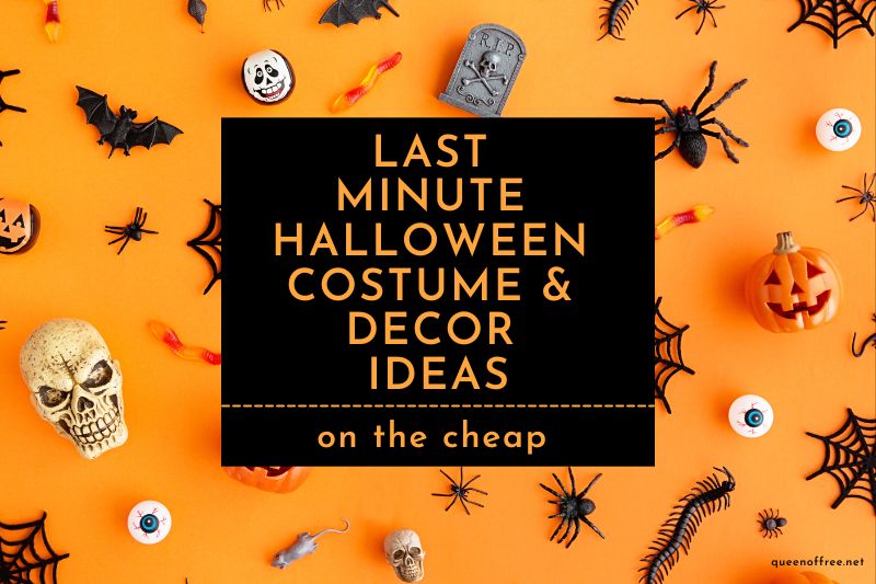From decor to candy to parties to costumes, Halloween expenses add up to terror in your budget? Check out these last minute Halloween tips!