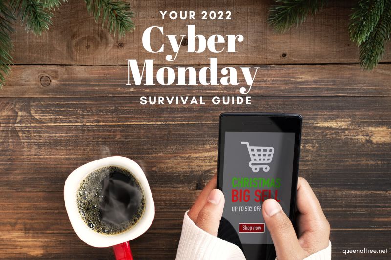 Cyber Monday 2022 Shopping Safety & Money Saving Tips